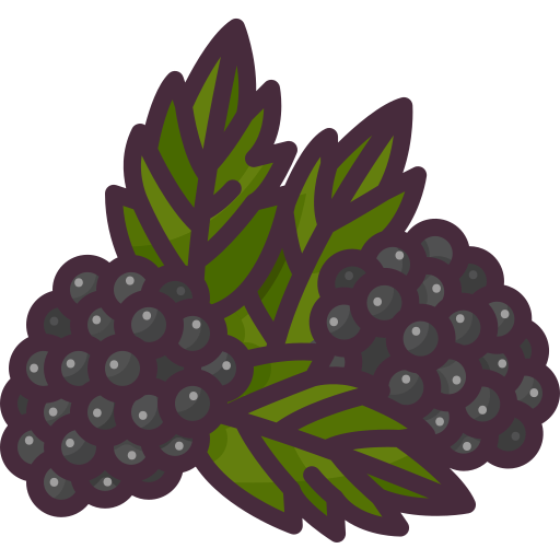Blackberry