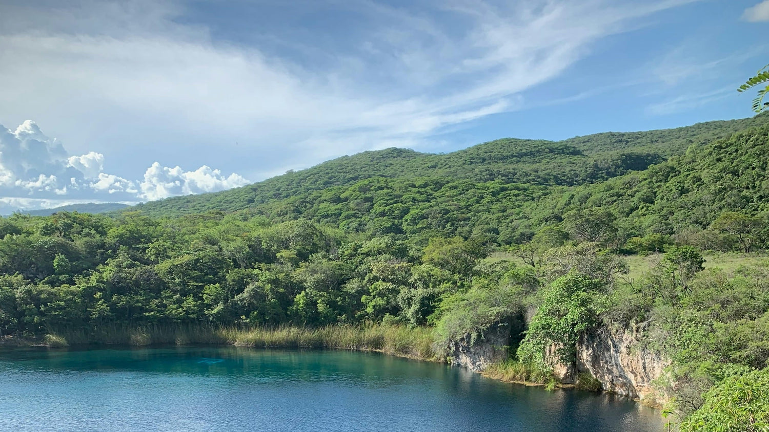 Lake surrounded by lush greenery with a clear blue sky.