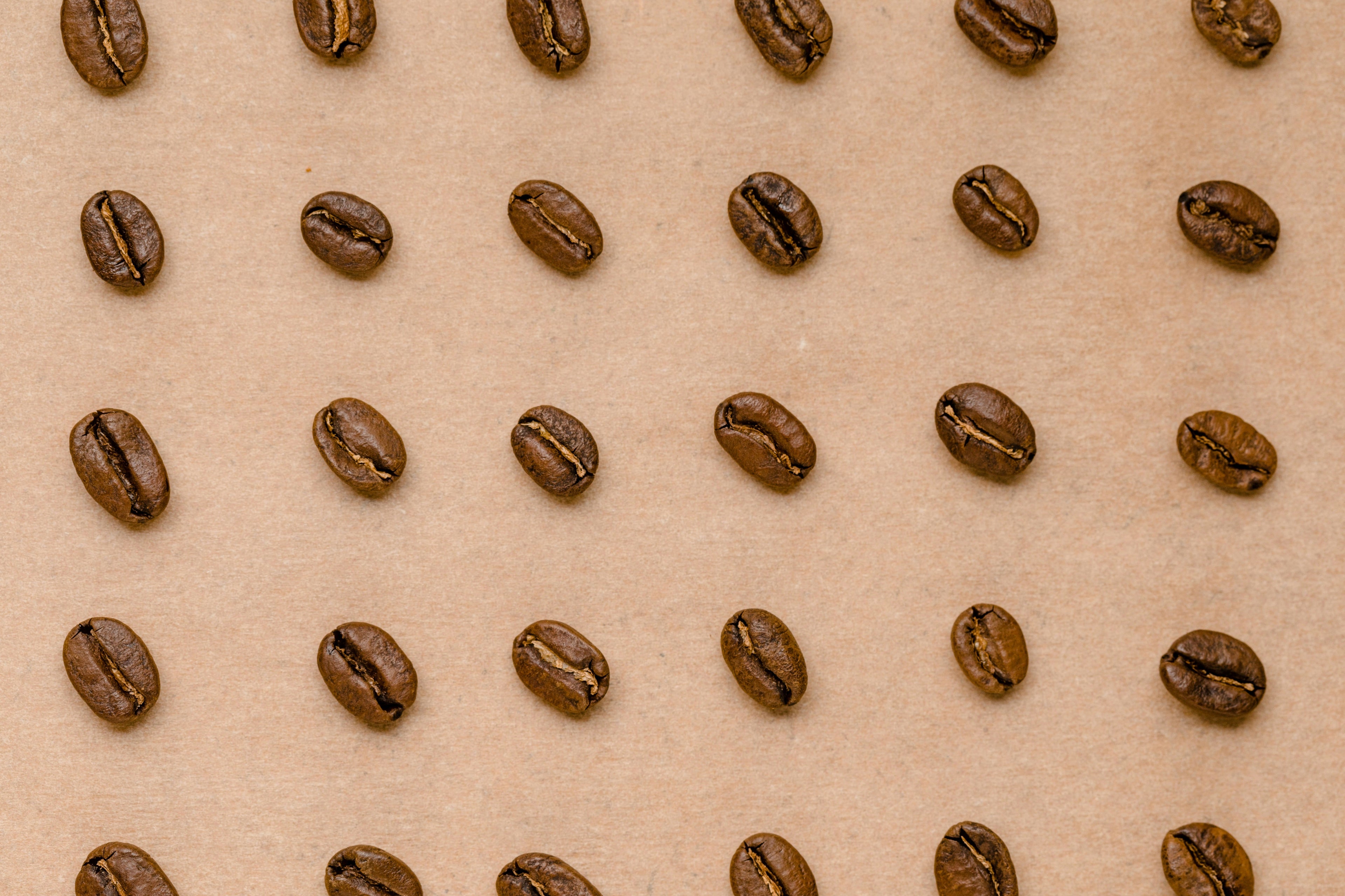 Pattern of coffee beans on a beige background